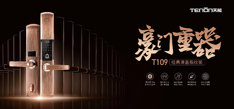 T109智能锁 T109智能锁